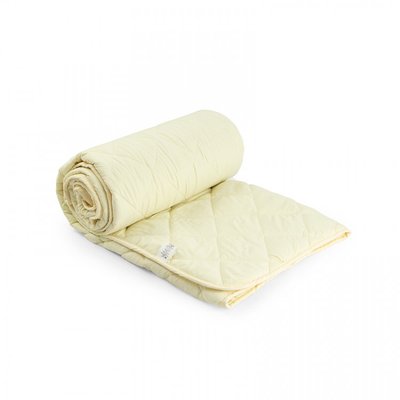 Одеяло силиконовое Руно "Легкость" молочное 200х220 см 123284 фото