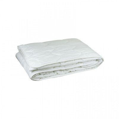 Одеяло Руно силиконовое 52СЛУ белое 200х220 см 116662 фото
