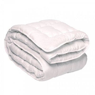 Одеяло зимнее антиаллергенное Emily Letia 200х220 см 133157 фото