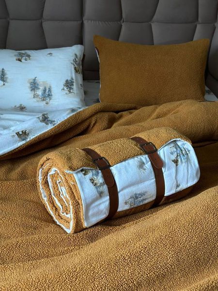 Зимовий комплект постільної білизни двосторонній Istanbul Wooden Zerdecal полуторний fc30072 фото