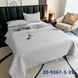 Покривало з мікрофібри Colorful Home 200х230 см із наволочками, модель 14 202139 фото 1