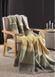 Плед Biederlack бавовняний Wohndecke Stripe Delight 150x200 см 218944 фото 2