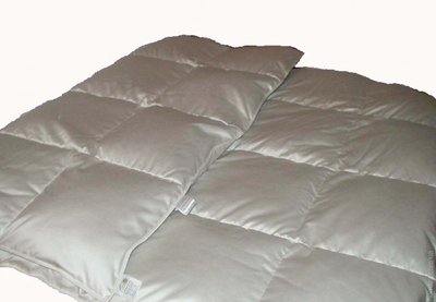 Одеяло Iglen облегченное климат-комфорт 100% белый пух 220х240 см. 53814 фото