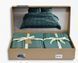 Постельное белье вареный хлопок Limasso Coastal Trio Dark Green евро 210541 фото 3