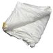 Одеяло Aonasi шелковая зимняя (вес 2000 г) 200х220 см. 131203 фото 2