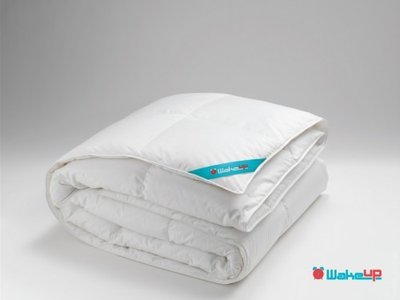 Одеяло Wake Up Natural (90%пуха 10% пера) 155x215 см 74790 фото